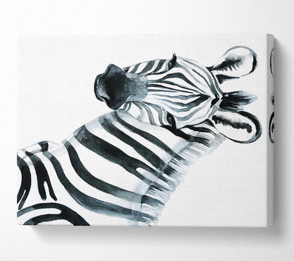 Zebra Face