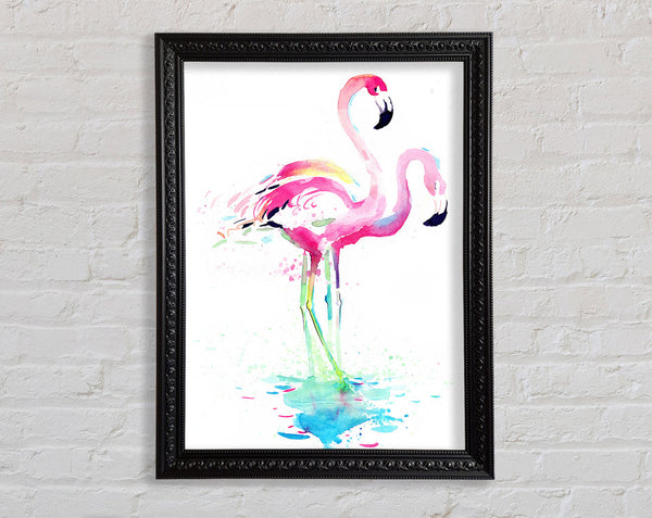 Flamingo Watercolour