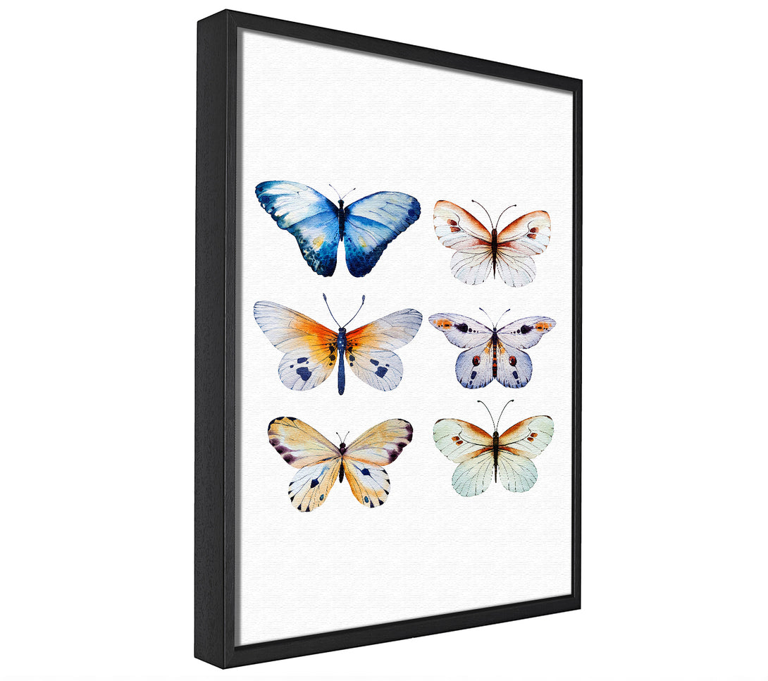 A picture of a Butterfly Breeds framed canvas print sold by Wallart-Direct.co.uk