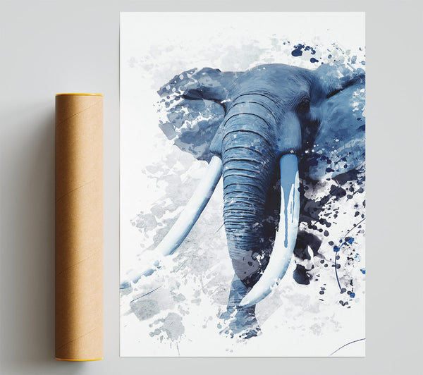 Elephant Grey