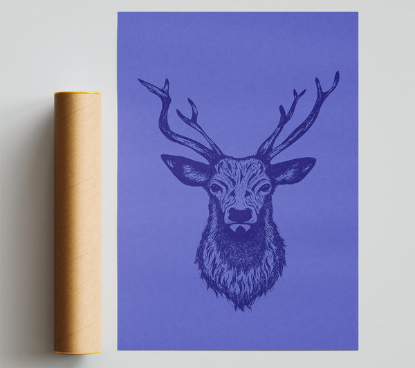 Stag Head 1