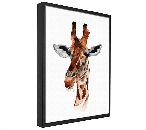 A picture of a Curious Giraffe framed canvas print sold by Wallart-Direct.co.uk