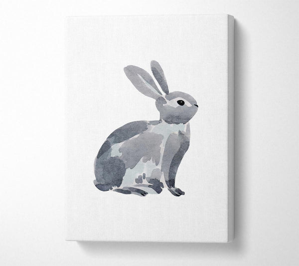 Grey Rabbit