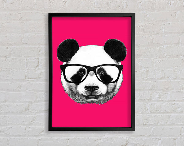 Funky Panda