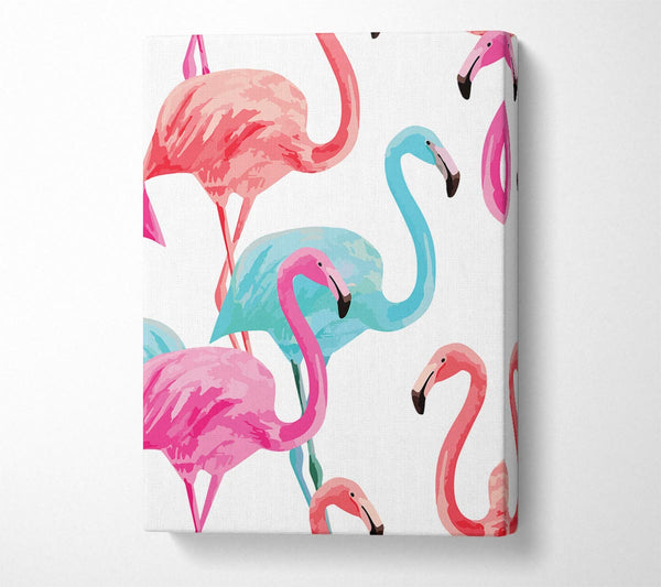 Flamingo Colours