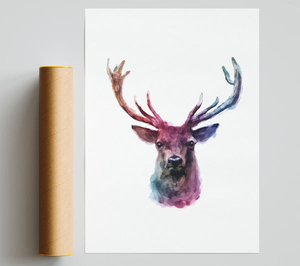 Stag Head Colours