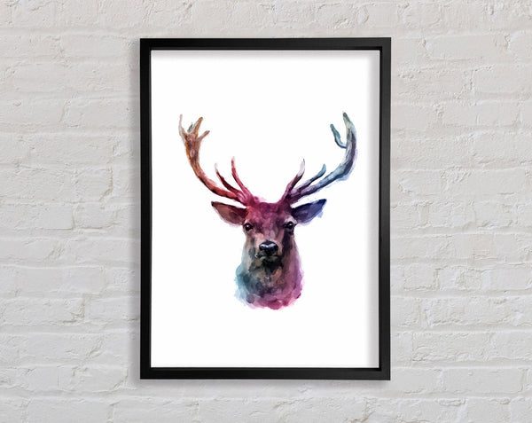 Stag Head Colours