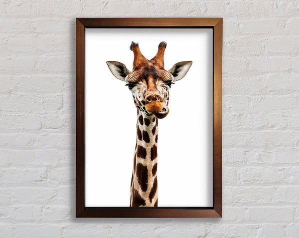 Goofy Giraffe