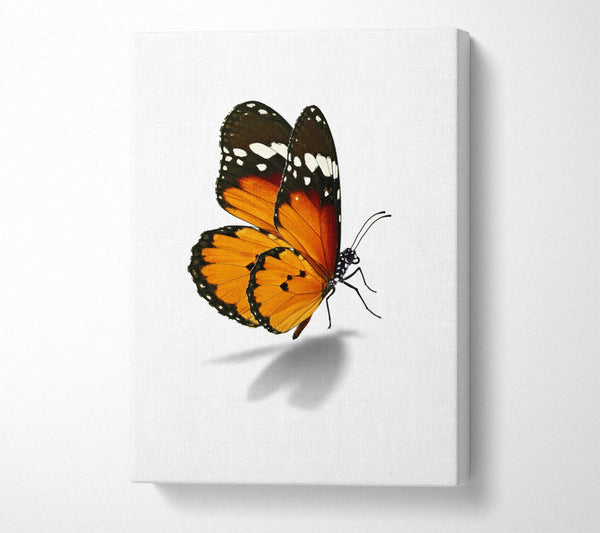 Orange Butterfly