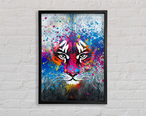 Rainbow Tiger Face