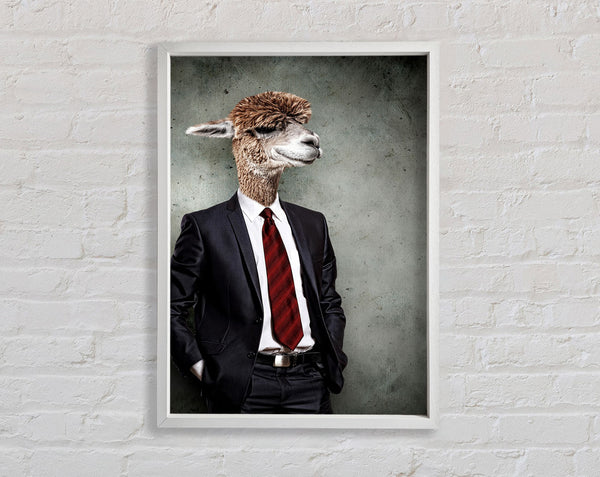 Business Llama