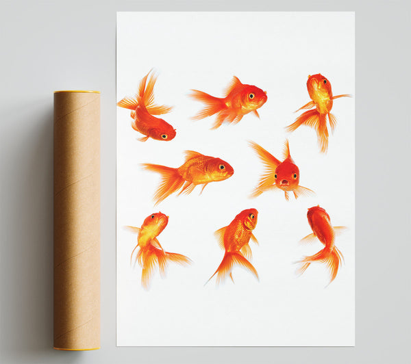 Goldfish Party