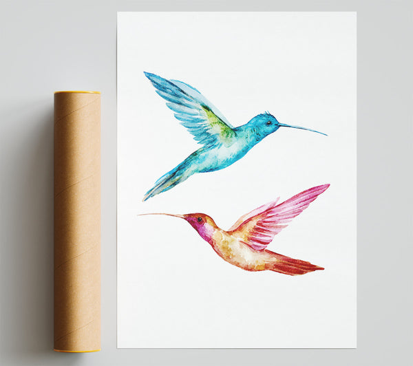 Hummingbird Duo