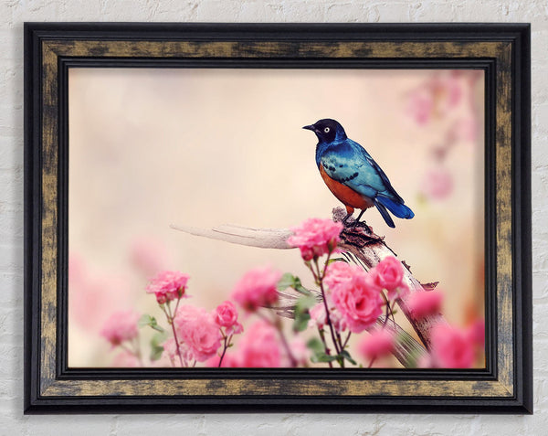 Blue Bird In The Cherry Blossom