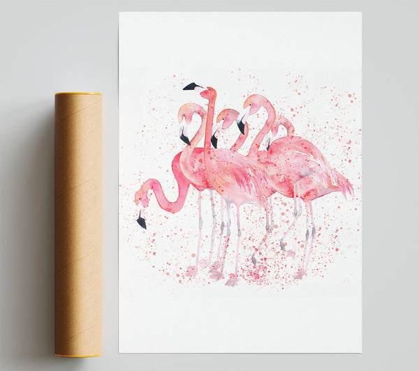 Pink Flamingo Splash