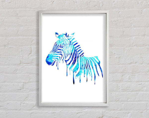 Blue Zebra