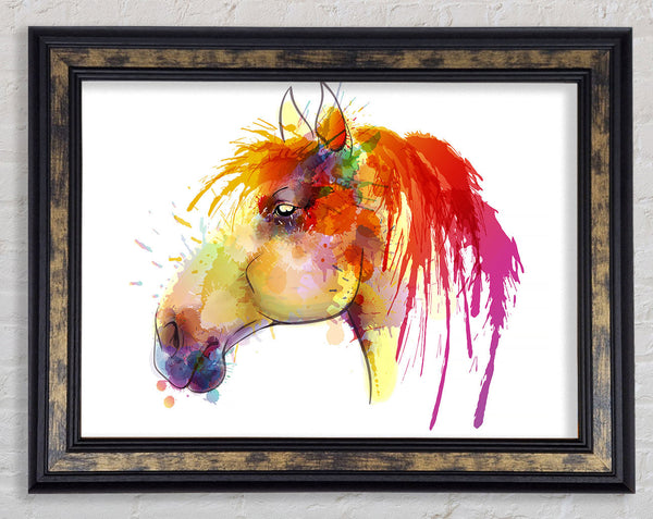 Beautiful Rainbow Horse