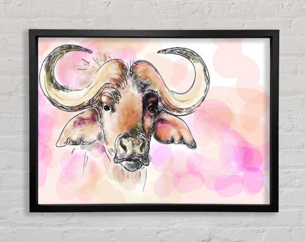 Texas Longhorn Cow