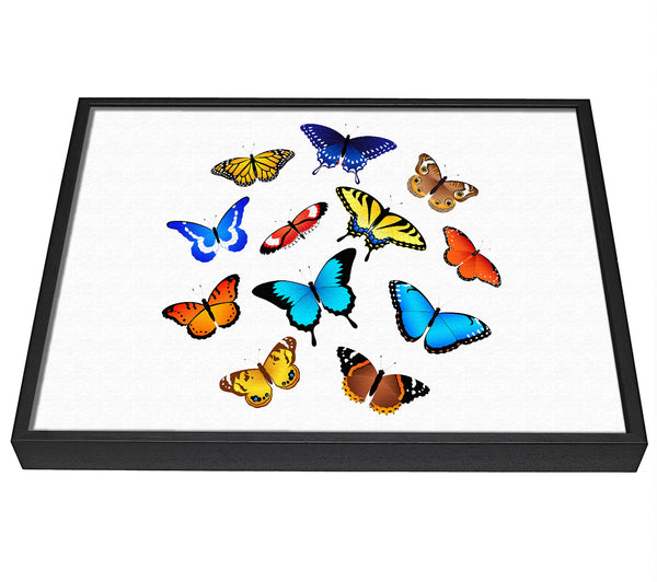 A picture of a Colourful Butterflies framed canvas print sold by Wallart-Direct.co.uk