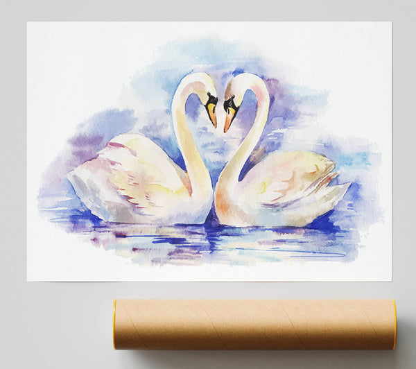 Swan Love