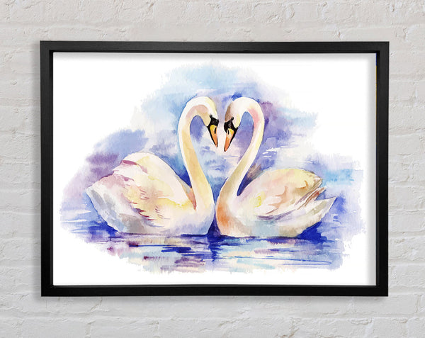 Swan Love