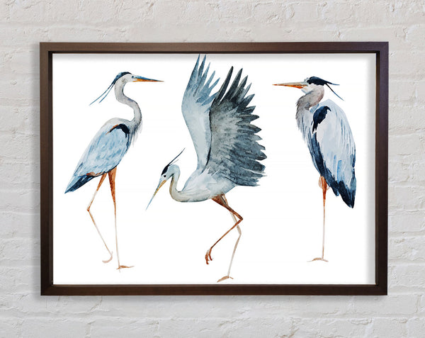 Heron Trio