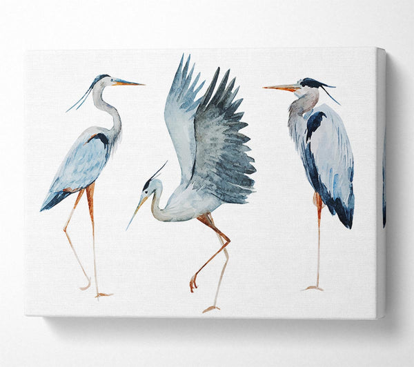 Heron Trio