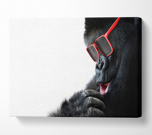 Gorilla Cool