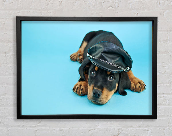 Rottweiler Puppy Dog Hat