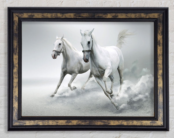 White Duo Horses