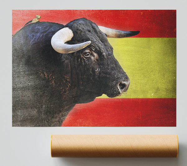 Spanish Bull