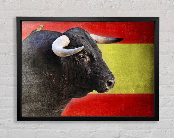 Spanish Bull