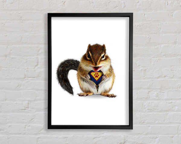 Super Squirrel