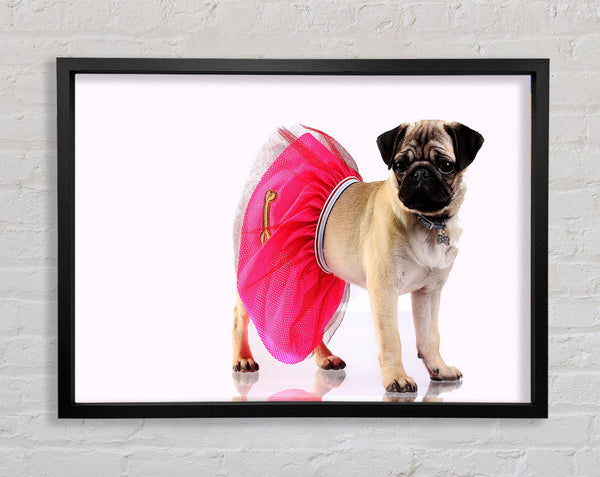 Pug Dog Tutu