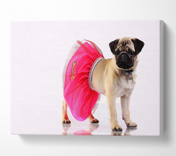 Pug Dog Tutu