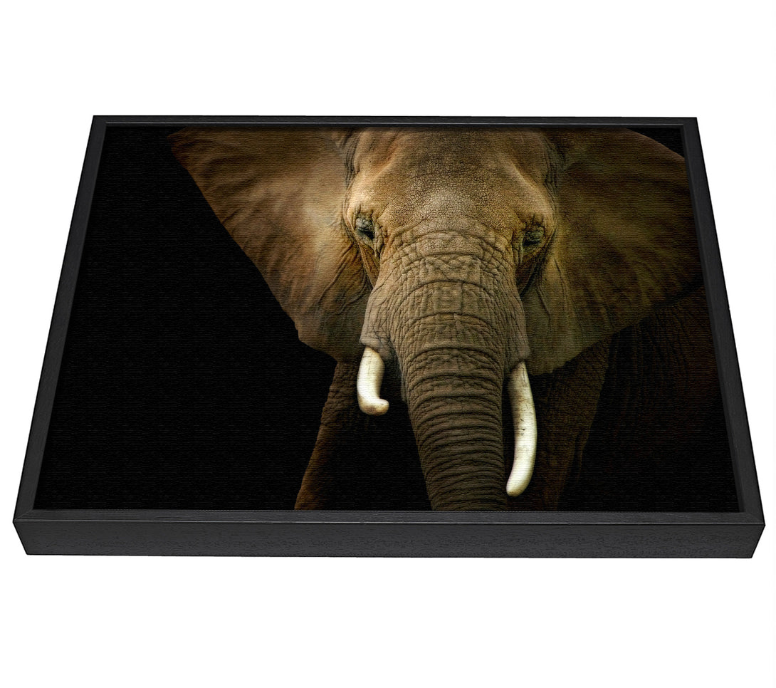 A picture of a Stunning Elephant Face framed canvas print sold by Wallart-Direct.co.uk