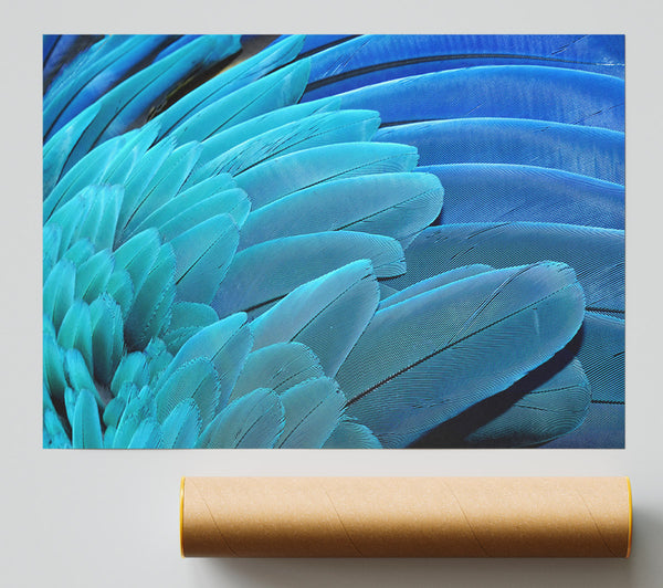 Parrot Feathers