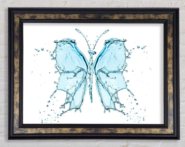 Water Butterfly