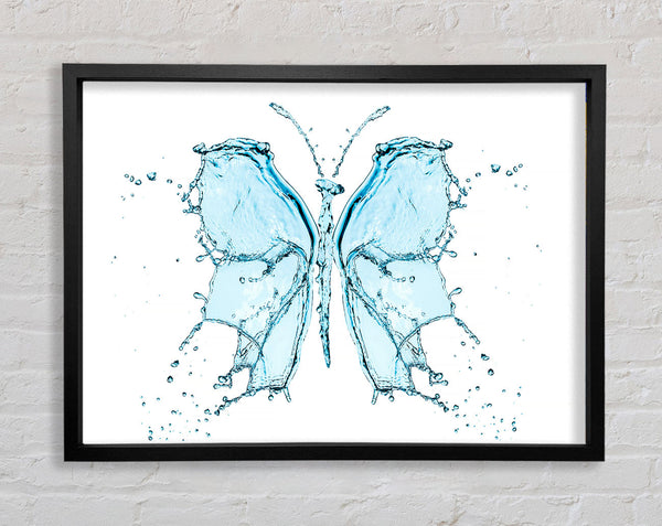 Water Butterfly