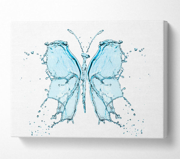 Water Butterfly