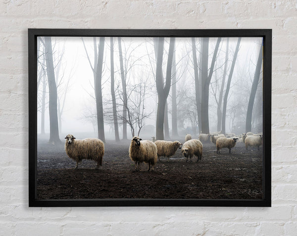 Sheep Forest