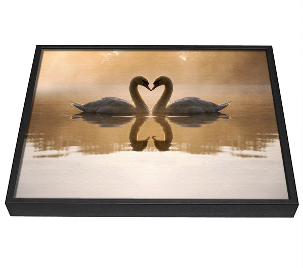 A picture of a Swan Lake Love framed canvas print sold by Wallart-Direct.co.uk