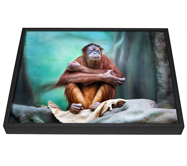 A picture of a Orangutan Forest framed canvas print sold by Wallart-Direct.co.uk