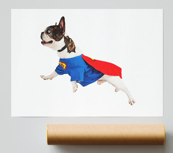 Super Dog