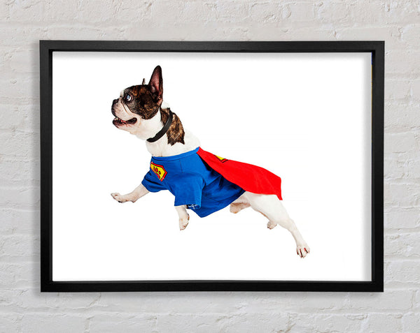 Super Dog