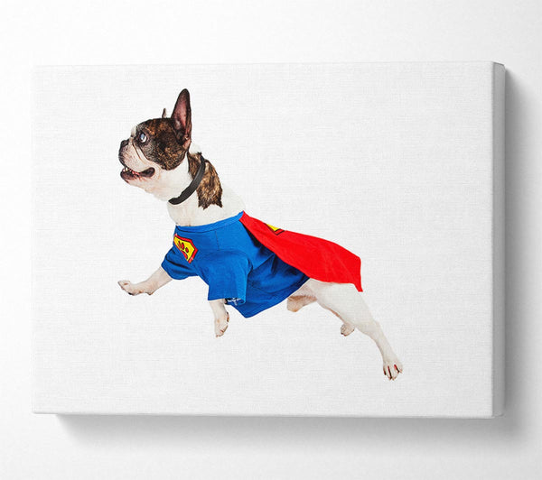 Super Dog