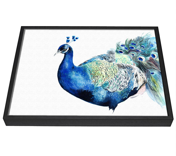 A picture of a Peacock Blues framed canvas print sold by Wallart-Direct.co.uk