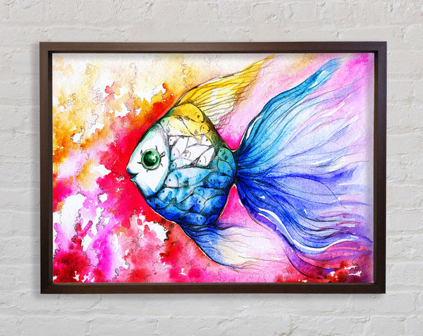 MultiColoured Fish