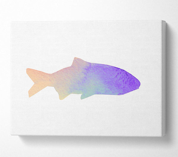 Rainbow Fish