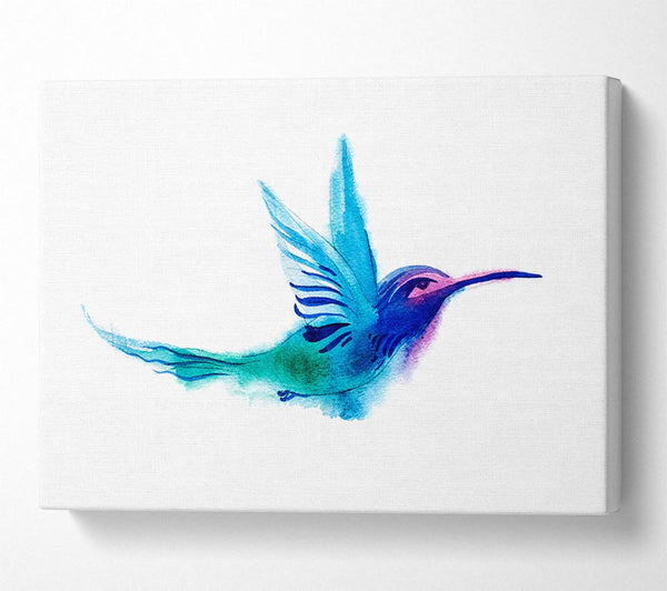 Elegant Rainbow Bird